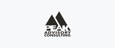 Peak Advisory Consulting logo